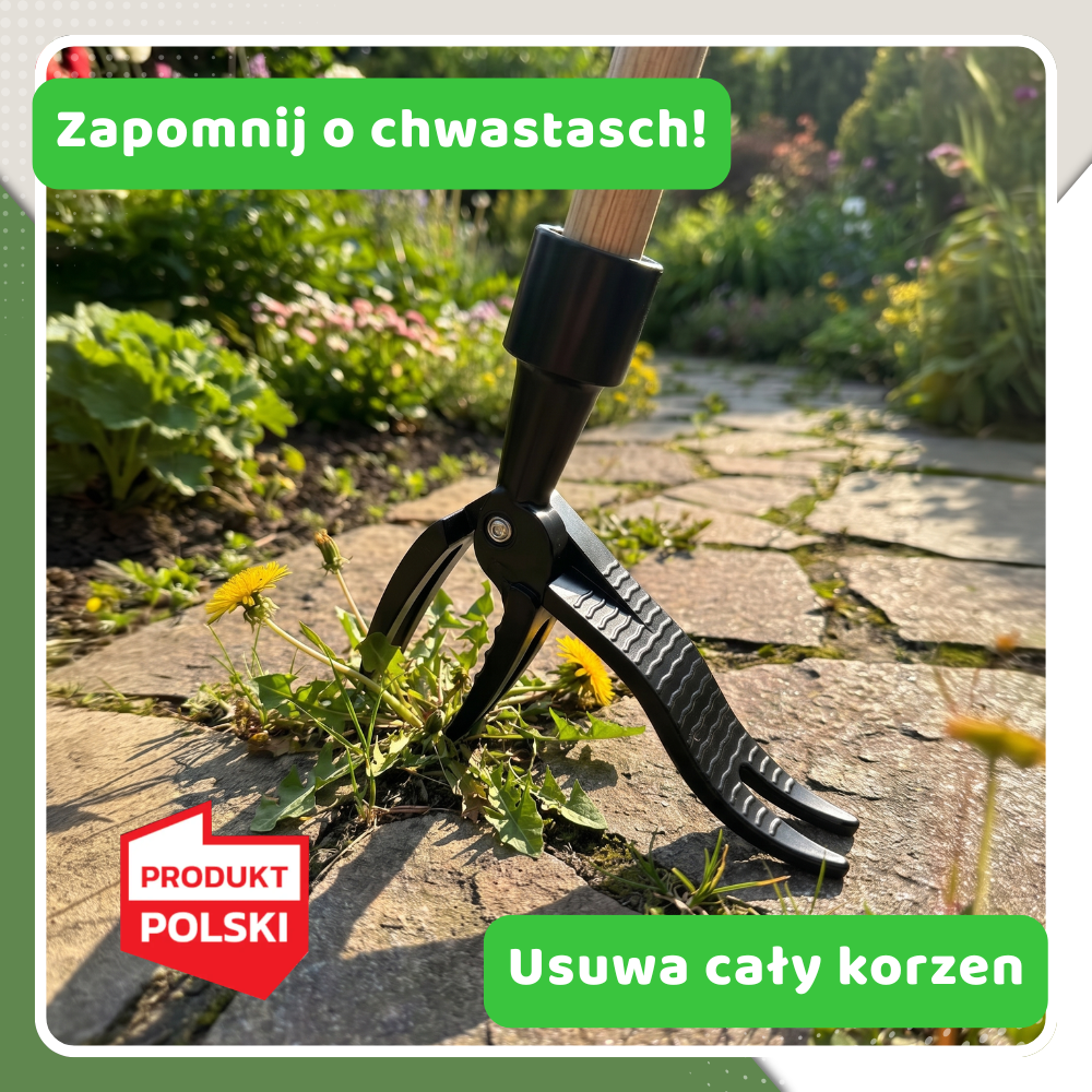 ChwastStop - chwast znika razem z korzeniem