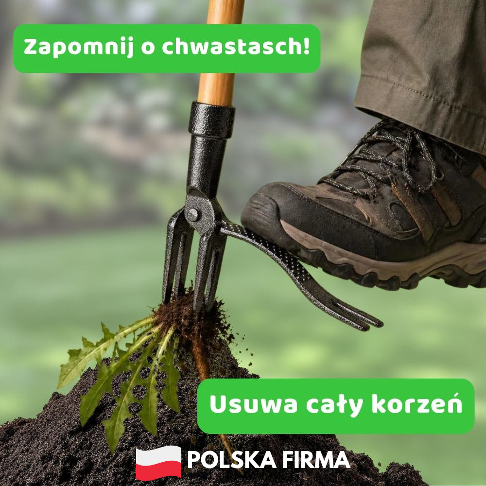 ChwastStop - chwast znika razem z korzeniem